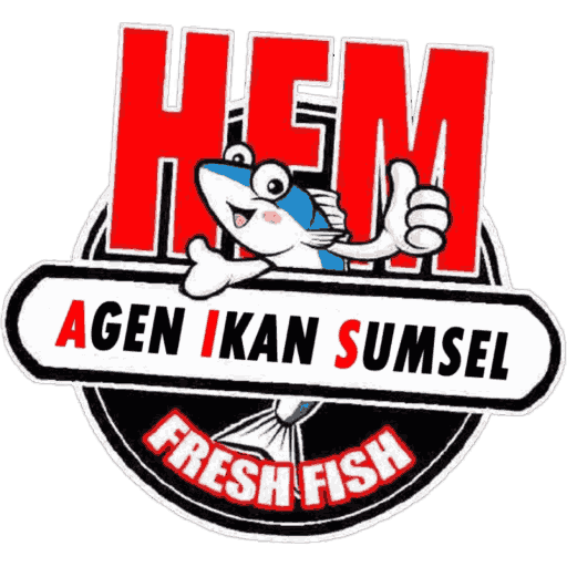 HFM